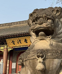 ��֪����£��������Ʒ�