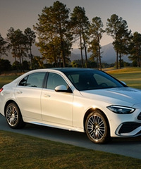 �����Լ�/��Ⱦ��������/��ݮ��ժ