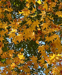 84��Ů����ҵ��λ���з��г���ϣ���з�170cm����