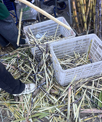 ˮ�������ĸ���ն��һ���ͦ�˷ѵ�