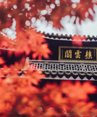 ̨ʽ��ѧ��Ƭ����b�Ͻ֡����ҿ�԰���嶴�š�