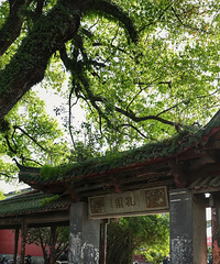 [̨ʽ��ѧ��Ƭ]��b�Ͻ֡����ҿ�԰���嶴�š�