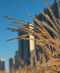 ���ҽ��£�����10�����ϣ���������Ӱ��̨��