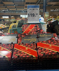 �۸���ն����̨�������ڿ������ɡ�������