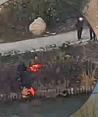 ��ְ����160������������ˣ�