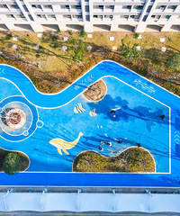 80��Ԣ����ʽͶ�ã�