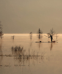 ���ж���ζ��(��̶ˮ����)