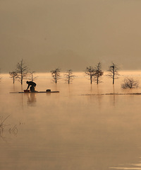 ���ж���ζ��(��̶ˮ����)