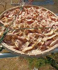 �Լ�ɹ��Ϻ�ú�Ϻ���²¶���Ǯ��