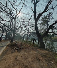 ��ׯ�� �������԰塱��ɽ���ߵ����������