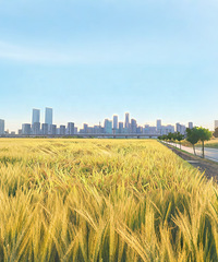 95���ٺ��У���ƹ�����Ѱ���Ը��������Ե��Ů��