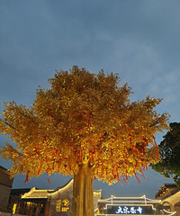 ��Ӳӵķ�������ϣ�������Դ�����