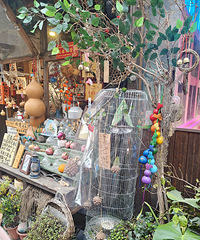 ·��ʮ�ﳤ�����𣬳��˵�̢����Ϻ��ɰ���棬��ܽ�������࡭��