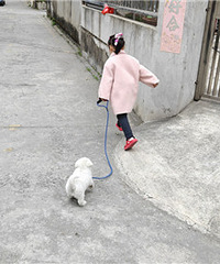 �޹�������