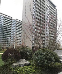 �ƺ縮(������բ���÷�)26��1��ʵ����С���̻����÷������