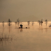 ��̶ˮ�� ��