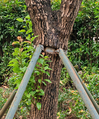 �ø������ɰ���