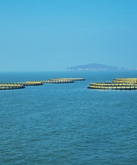 �´�µ����� ���˺��Ϸ����Ĵ����Χ��