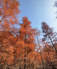 ����9ʱ44�֣�̨����ʽ���롭��