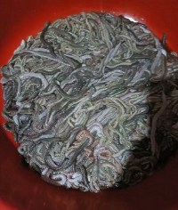 �ⶫ���ҳ���