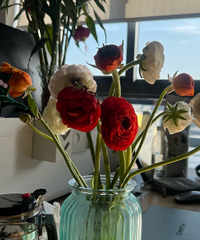 ������������ͣ������