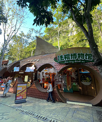 [����]�������ϡ���������ٲ�+������ʳ�����˶���