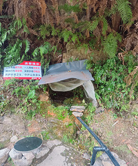 ��������ɽȪˮ�����ߺ����磬�賿�ŵ���ҹ