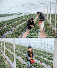 ̨��֮�ǳ����C������Ʒ�������Գ��ԼݻԲ����Ļ