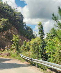 ��Ϫ������������Ϫ֮Ͽ�ȣ�̽Ѱׯ��֮��������