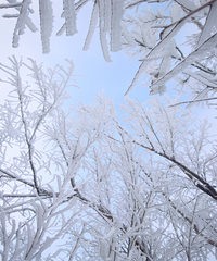 -7�棡��̨��ڡ���ߣ�̫����