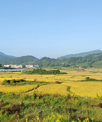 ˮī������������졪�����｡���۵Ĺ�Ӱ���μ�