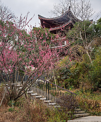 ��������ɽ���д�