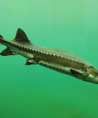 �����������л��࣬��ҹ���͡�ˮ�й������麣