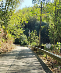 ɽ������´��ˮ����̨�ݻ���������֮Դ�����