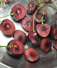 �����ӻ��ܳ��𣿿��Ÿ��Ӷ��Ǳ��̵�