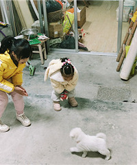 ��ֻ�������ͷź���ѹ����