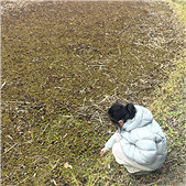 ������СϺ