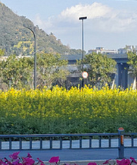 �����Ͳ˻�������