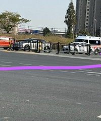 �������ֵ綯���������