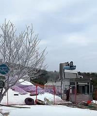 ������Ϻ��뻨��̫ƴ�ˣ�����̨�ݱ���������ѩ��