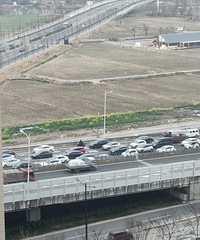 ��7��࣬ǧ���ϰ�ţ������ľ��