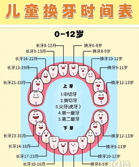 [��]���ܶ��ĺ��ӵ���2�����������𣿳���������