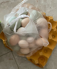 ����ĵ�������ı���