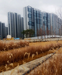 ҽ�߿���ҽ����įɳ��ů