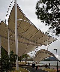 ���ܴ��Ͼ�ͷ�����ٺ����