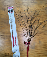 ̨���˶�ʱ��ج�Ρ�ͻȻ���𣡴���һ����300�ѻ�������