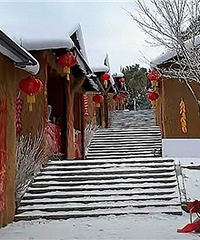 ����ѩ��