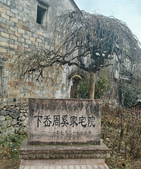 һ��˵�߾��ߵ���ɽ������·���Ĳݷ��Ȯ