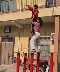 �����������ʨȫ����������