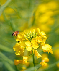 �ĵ�����ף�̨������220Ķ�Ͳ˻�������Ȧ